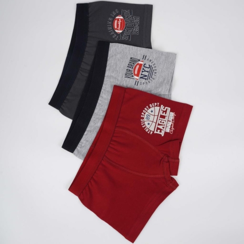 Toptan Division Erkek 2'li Atlet Boxer Set